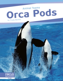 Image for Animal Teams: Orca Pods