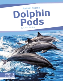 Image for Dolphin Pods