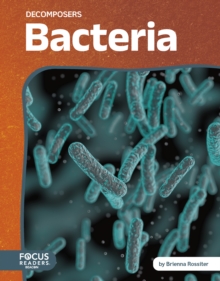 Image for Bacteria