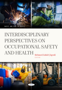 Image for Interdisciplinary Perspectives on Occupational Safety and Health