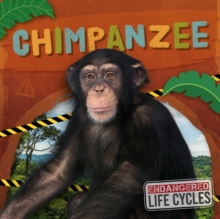 Image for Chimpanzee