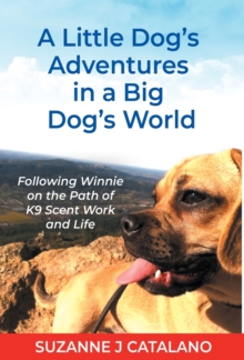 Image for A Little Dog's Adventures in a Big Dog's World