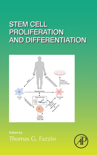 Stem Cell Proliferation and Differentiation