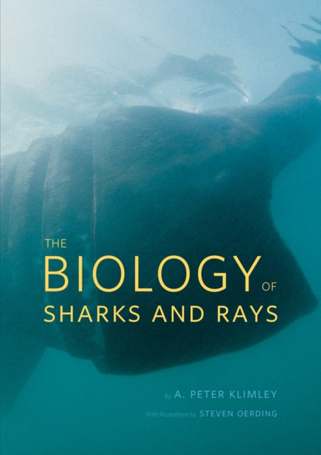 Biology of Sharks and Rays