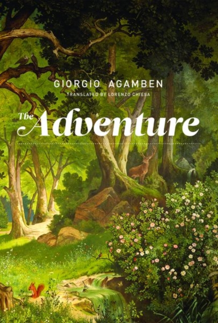 The Adventure by Giorgio Agamben HARDBACK 9780262037594