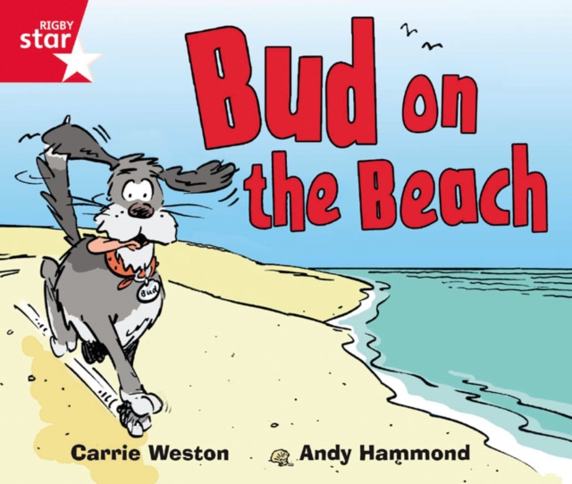 Rigby Star Guided Phonic Opportunity Readers Red Bud On The Beach