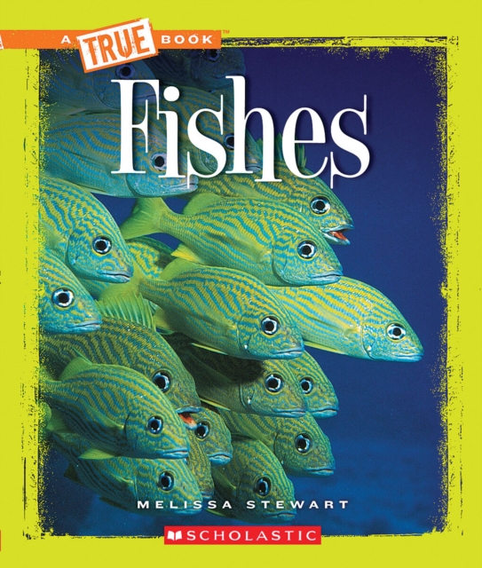 Fishes (True Book Animals)