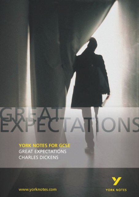 Great Expectations  York Notes for GCSE
