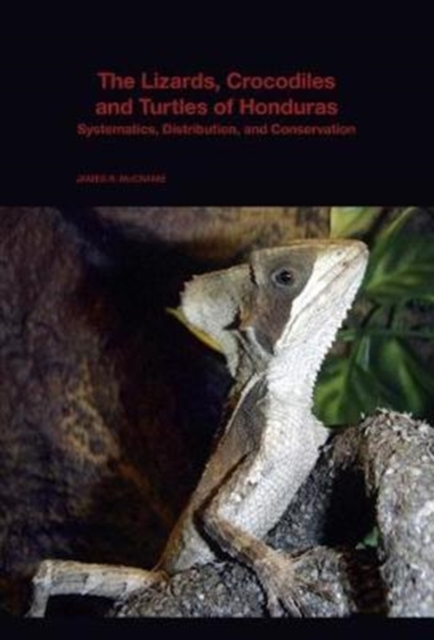 Lizards Crocodiles and Turtles of Honduras