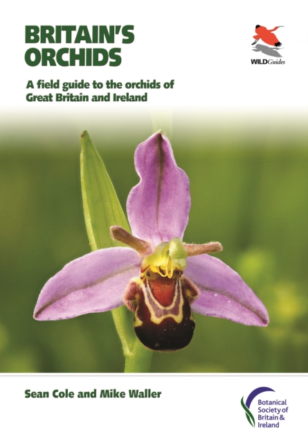 Britains Orchids