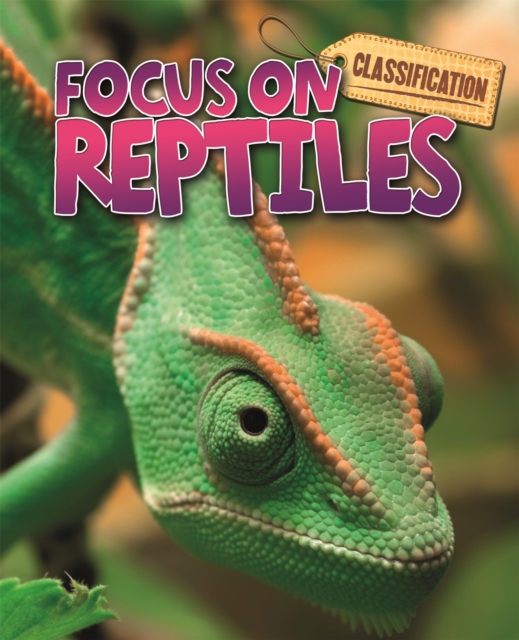Classification Focus on Reptiles