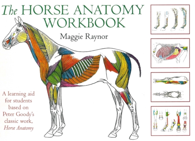 Horse Anatomy Workbook