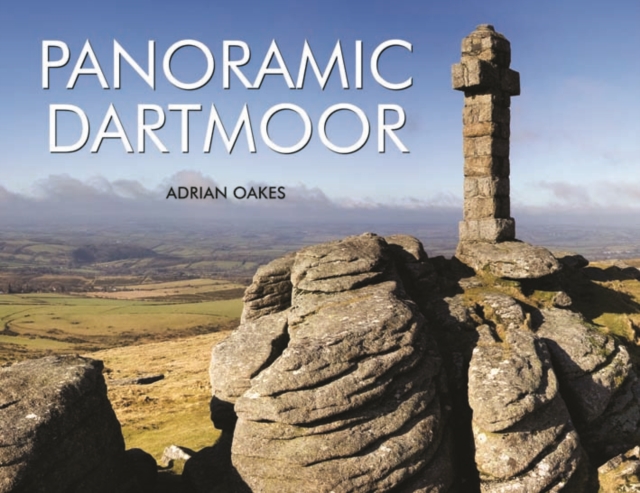 Panoramic Dartmoor