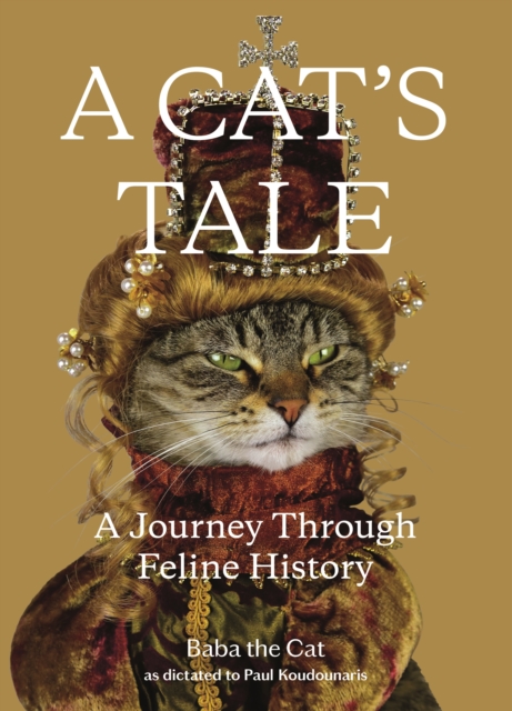 Cats Tale