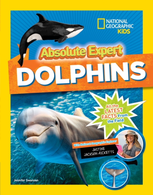 Absolute Expert Dolphins