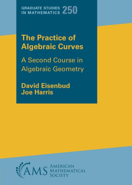 The Practice of Algebraic Curves : A Second Course in Algebraic Geometry : 250