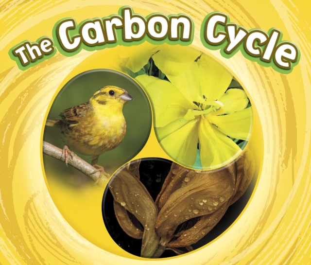 Carbon Cycle