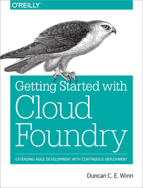 Cloud Foundry The Definitive Guide