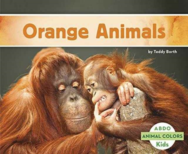 Orange Animals