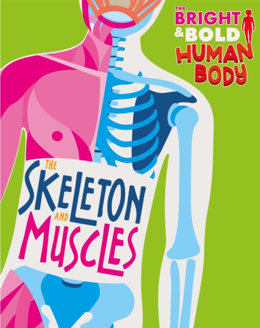 Bright and Bold Human Body The Skeleton and Muscles