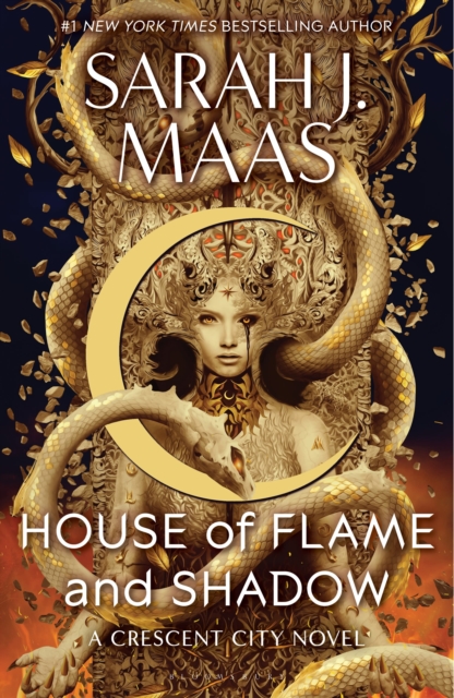 House of Flame and Shadow paperback