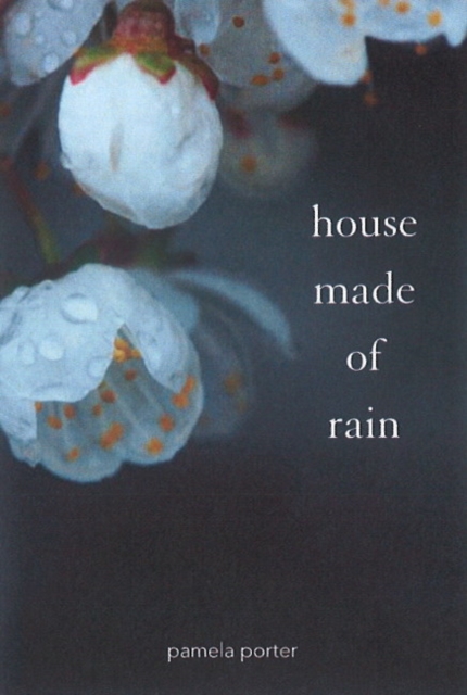 House Made of Rain