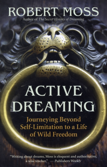 Active Dreaming