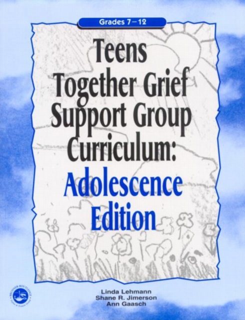TEENS TOGETHER GRIEF SUPPORT GROUP CURRI by LEHMANN, LINDA Paperback Self Help