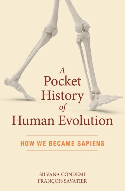 Pocket History of Human Evolution