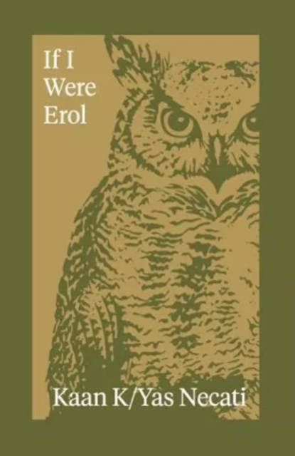 Image for If I Were Erol