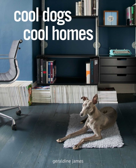 Cool Dogs Cool Homes