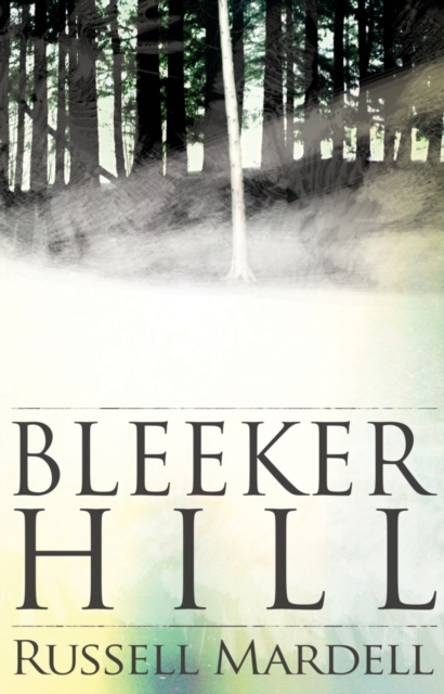 Bleeker Hill