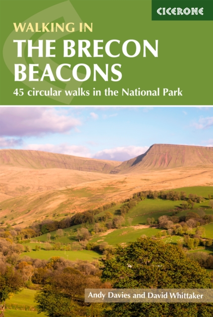 Walking in the Brecon Beacons : 45 circular walks in the National Park book cover