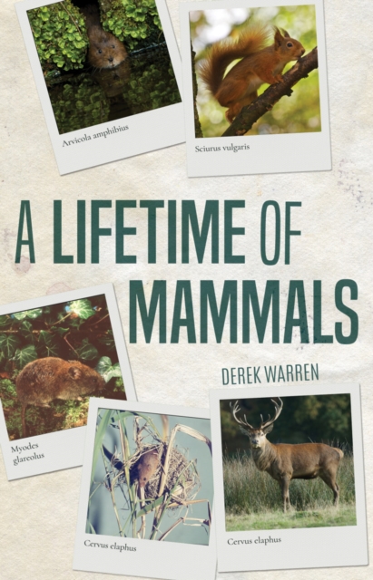 Lifetime of Mammals