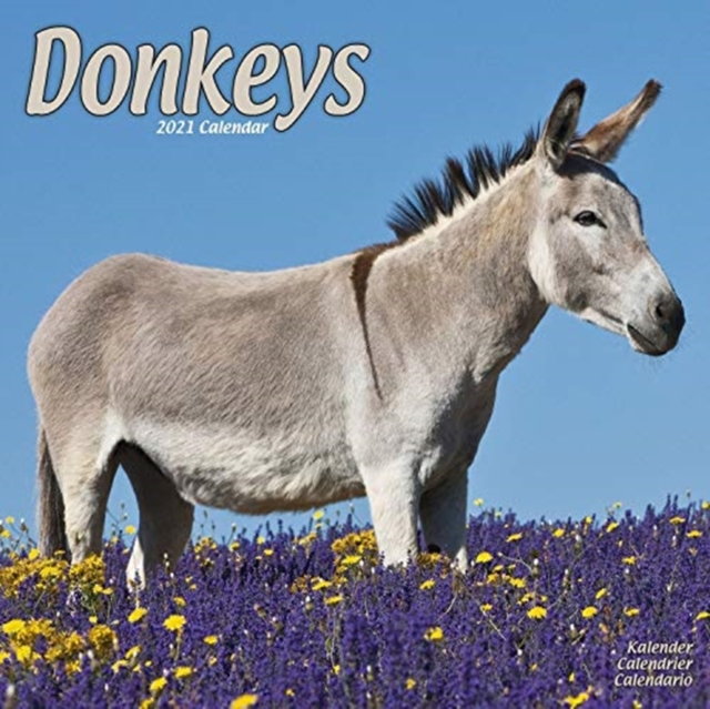 Donkeys 2021 Wall Calendar