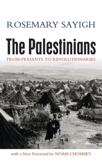 Image for The Palestinians: From peasants to Revolutionaries