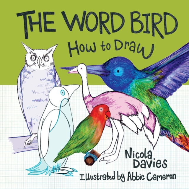 How to Draw The Word Bird