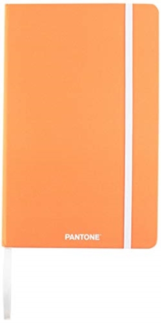 PANTONE PLANNER 2019 NON-DATE DIARY 2019