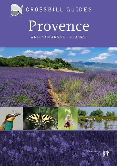 Provence