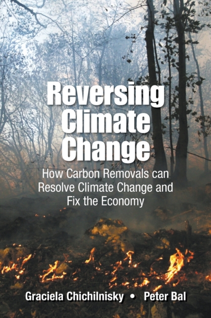 Reversing Climate Change How Carbon Removals Can Resolve Climate Change And Fix The Economy